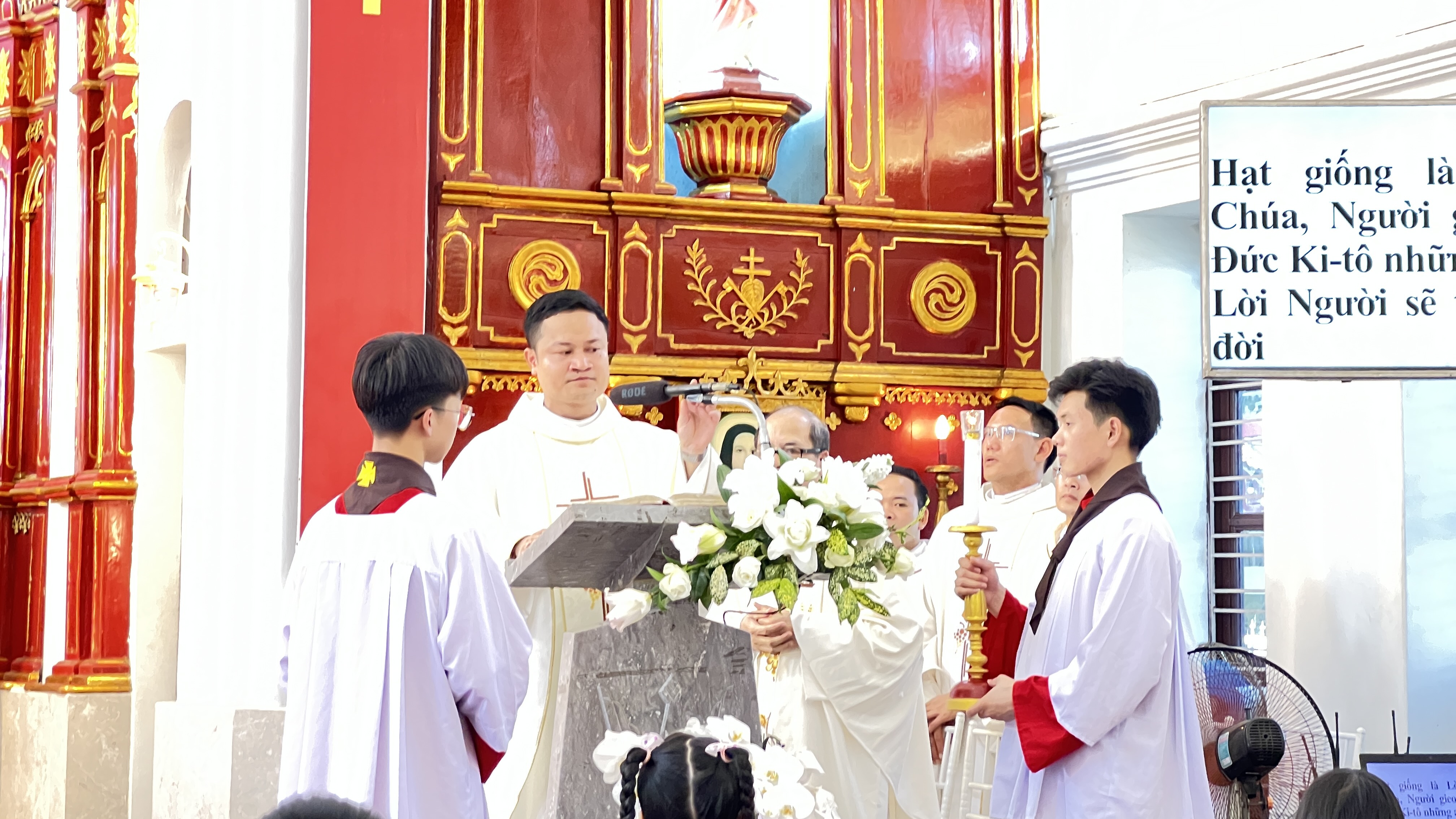 Photo-6